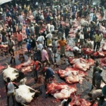 2013 Dates for MPhil programme Announced