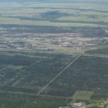 Urban Ecology CityLab