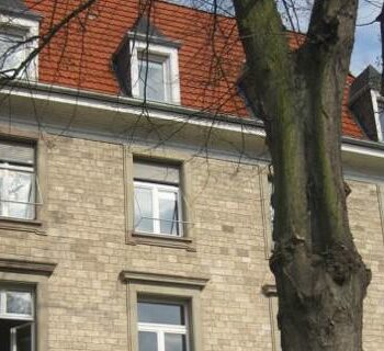 Max-Planck / ACC Super-diversity