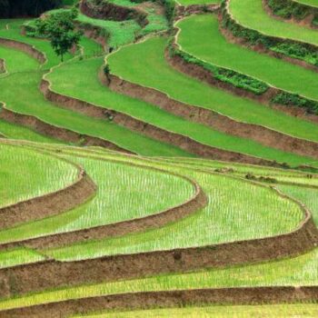 Food Security and Place-Based Governance