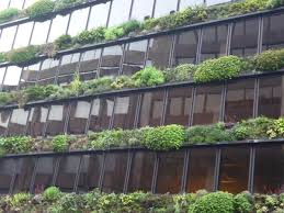 Cities and Biodiversity Outlook: A Global Assessment of the Links Between Urbanization, Biodiversity, and Ecosystem