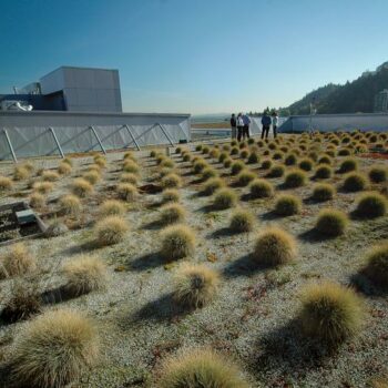 Socioecological Movements in Urban Ecosystems (MOVE)