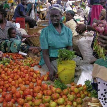 Urban Food Security Series No 1: The Invisible Crisis: Urban Food Security in Southern Africa