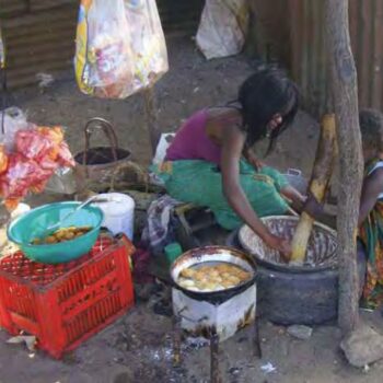 Urban Food Security Series No. 2 : The State of Urban Food Insecurity in Southern Africa