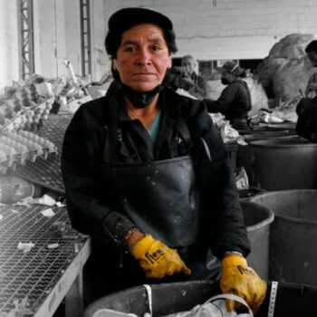 No Cushion To Fall Back On: The Global Economic Crisis and Informal Workers