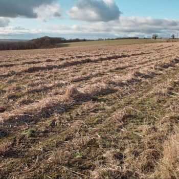 A Comparison of Three SA Municipalities