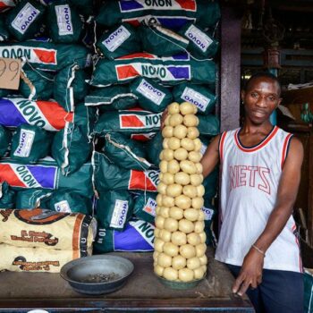 10 cities: Informal Economy Monitoring Study