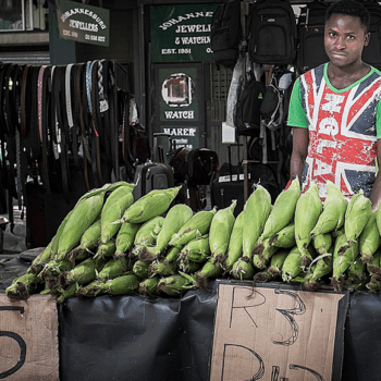 WIEGO – Women in Informal Employment: Globalizing and Organizing’s Urban Programme