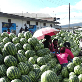 African Urban Research Initiative (AURI)