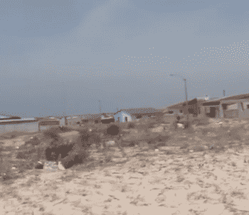 Stepping Stone Part 1 – Tafelsig