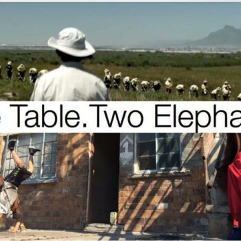 Teaser: 1 Table 2 Elephants