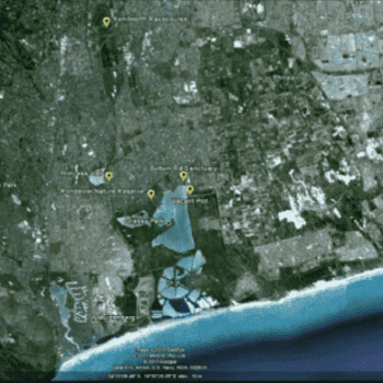 Ecological outcomes of civic and expert-led urban greening projects using indigenous plant species in Cape Town, South Africa