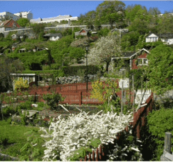 Urban green commons: Insights on urban common property systems