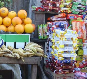 A systematic review of the literature that focuses on both the ‘informal economy’ and ‘food security’ in South Africa