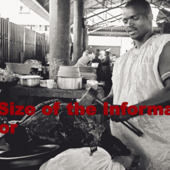 The Informal Sectors Role in Food Security:  The Missing Link in South African Policy Debates?
