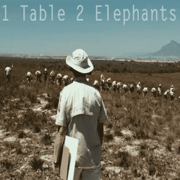 “One Table Two Elephants” An Environmental Film Essay Goes to New York