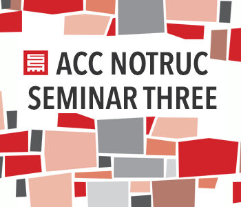 ACC NOTRUC Seminar Series: Reflection is Part of Rehabilitation: Interventions in the History of a Land Occupation