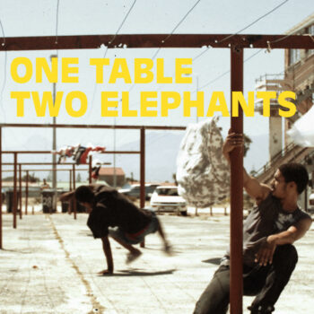 One Table Two Elephants