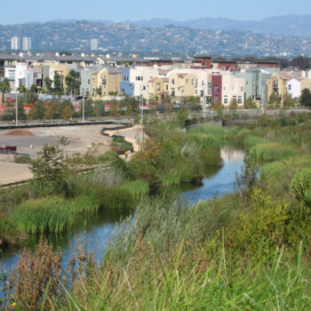 Cities and Climate Change: Seminar 1