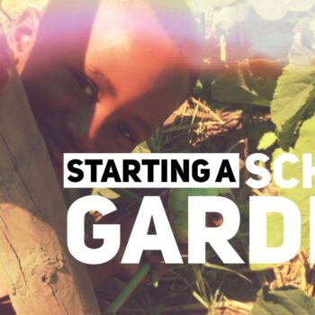 Follow Nourishing Spaces on YouTube