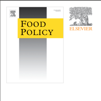 “Measurement drives diagnosis and response”: Gaps in transferring food security assessment to the urban scale