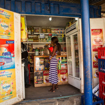 ‘Fake food’ in South Africa: myths, misinformation and not enough data