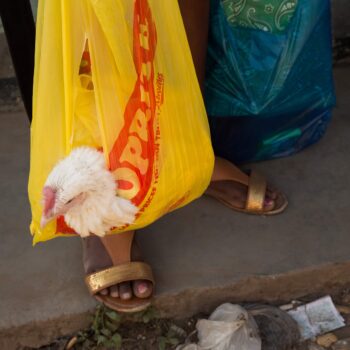 IN THE PRESS: Taking food security to a wider audience