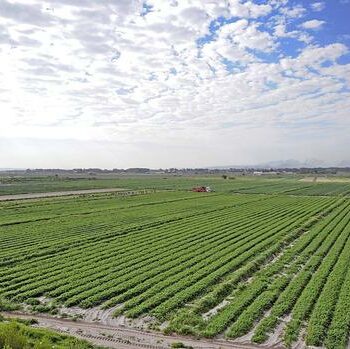 IN THE PRESS: Experts: SONA, budget speech suggest food security low on national agenda