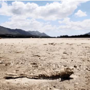 IN THE PRESS: Vital lessons learnt from the drought