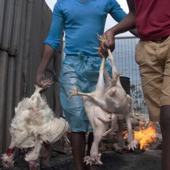 Governing Cape Town’s Informal Economy