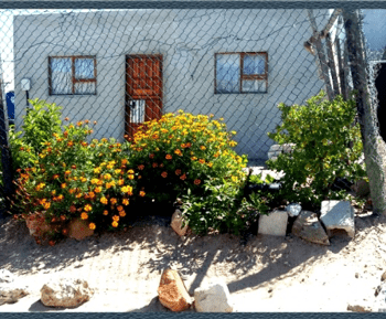 BLOG: Between Dreams and Living Life: What the Everyday unveils…