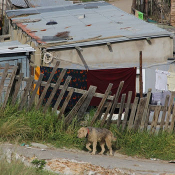 A systematised review of the health impact of urban informal settlements and implications for upgrading interventions in South Africa