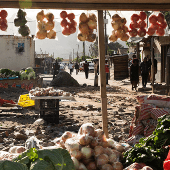 Urbal: Household food and nutrition security strategic framework