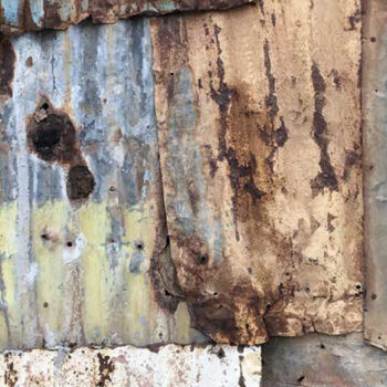 Present and Visible: Napier Settlement and its Stories