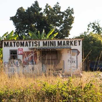 The role of the informal economy in promoting urban sustainability: Evidence from a small Zimbabwean town.