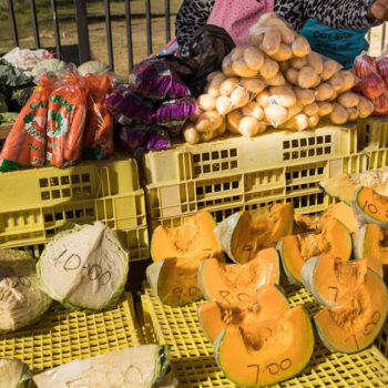 Food insecurity is not a Covid-related shock, but a chronic, systemic problem in South Africa