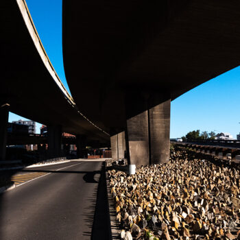 OPPORTUNITY: Basel Postdoctoral Research Fellowship